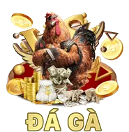 Cộng đồng sôi động